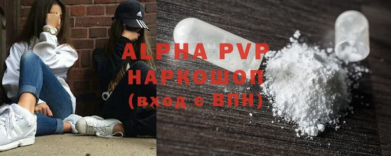 A PVP СК КРИС  Курчалой 